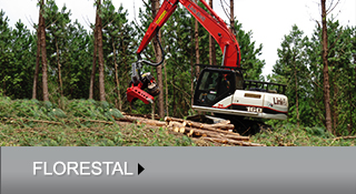 FLORESTAL